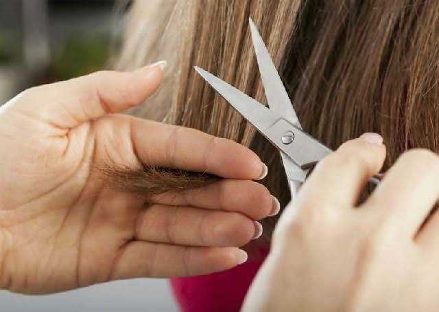 Corte + Hidratação + Escova